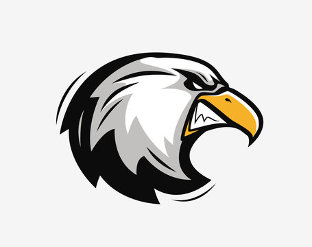 Head of an angry eagle. Sports mascot. Vector illustration