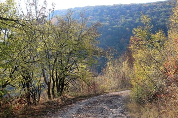 Autumn forest on Shumen plateau (Bulgaria)