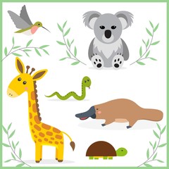 Funny cartoon animals. Vector illustration isolated on white. Hummingbird, giraffe, turtle, snake, platypus, koala.