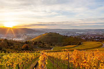 Autumn sunset view of Stuttgart sykline overlooking the colorful vineyards. The iconic Fernsehturm...