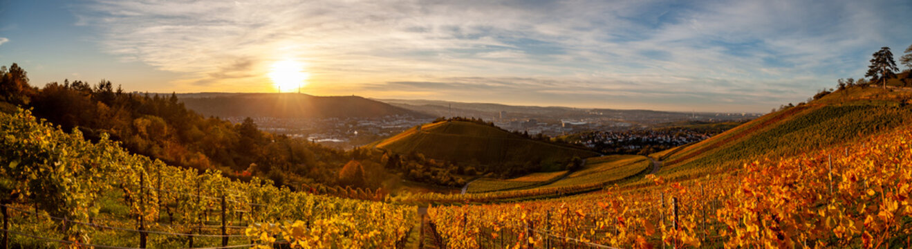Autumn sunset view of Stuttgart sykline overlooking the colorful vineyards. The iconic Fernsehturm as well as the soccer stadium are visible. The sun is about ot set over the Neckar Valley.