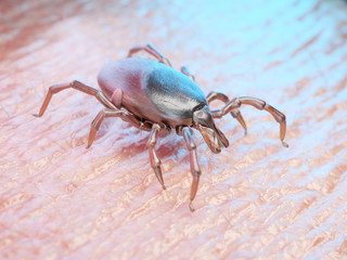 3d rendered medically accurate illustration of a tick on human skin