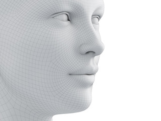 3d rendered medically accurate illustration of a female wireframe face