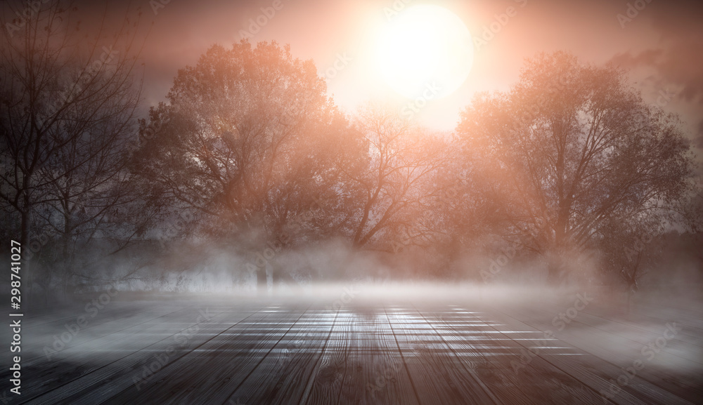 Wall mural dark abstract winter forest background. wooden floor, snow, fog. dark night background in the forest