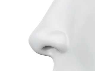 Fotobehang 3d rendered medically accurate illustration of a grey abstract female nose © Sebastian Kaulitzki