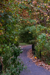 Early autumn color in Central Park South