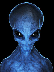3d rendered medically accurate illustration of a grey alien - obrazy, fototapety, plakaty