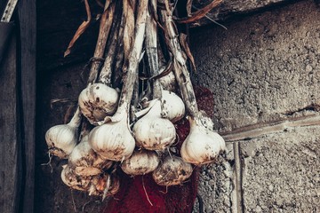 garlic on the market