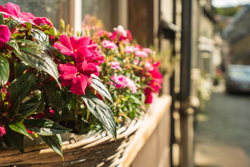 Blumenkästen am Fenster in der Sonne