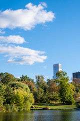 Early autumn color in Central Park North