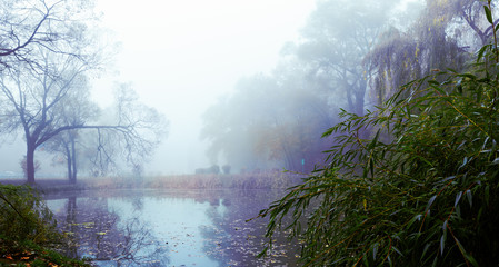 Foggy Morning in the autumn lake. Fall rural landscape.