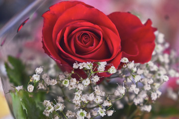 macro angle of a bouquet of red roses