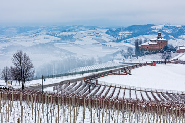 Hills and vineyards covered in snow in Italy.