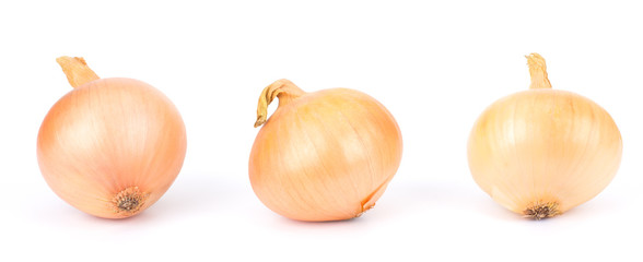 Fresh onion bulb isolated on white background