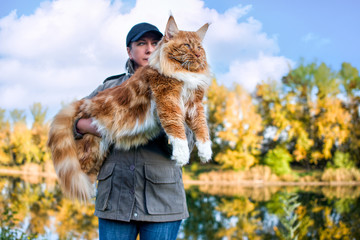 A girl holding in arms a huge maine coon cat in forest in summer, fall. - obrazy, fototapety, plakaty