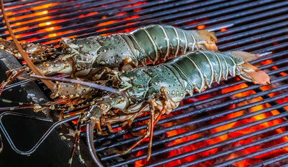 Lobster cooking grill Food Background