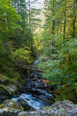 Fototapeta na wymiar A footbridge crosses Hardy Creek from Rodney Falls in Beacon Rock State Park, Washington, USA