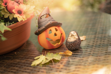 Halloween-Kürbis auf Gartentisch 17
