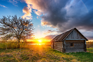 Old wooden hut and lonely tree at sunset in countryside at spring