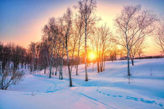 Red sunset in frozen winter forest