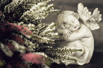 Angel and flowers. Guardian angel sleeping
