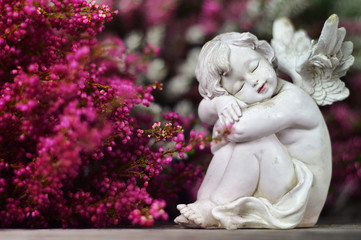 Guardian angel and flowers. Sleeping angel and flowers
