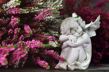 Guardian angel sleeping among heather flowers
