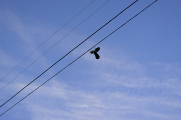 シューフィティ