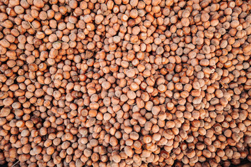 A basket full of fresh raw hazelnuts fruits