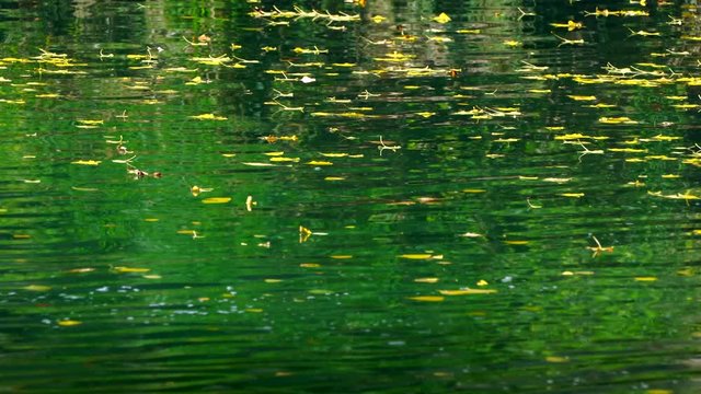 J&uacute;car River, Serran&iacute;a de Cuenca, Cuenca, Castilla - La Mancha, Spain, Europe