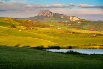 Obraz premium Krajobraz z pastwiskami i polami pszenicy, Sycylia, rolnictwo we Włoszech