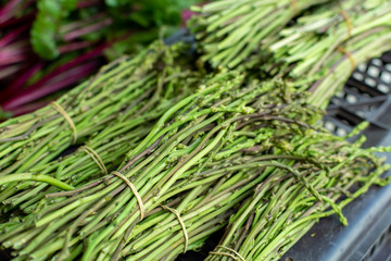 Natural food from forest and mountains in Greece green wild asparagus on farmer market