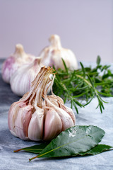 Whole violet garlic bulbs and fresh kitchen herbs close up on grey marble plank