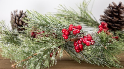 Fototapeta na wymiar seasonal holiday green fir on white background with holly berry, pine cone, and snow