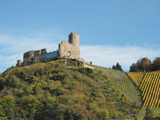 herbstliche Burgruine Landshut über Bernkastel-Kues mit Blick auf die Mosel OLYMPUS DIGITAL CAMERA