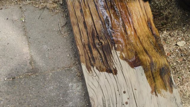 tradesman varnishing outdoor timber edge