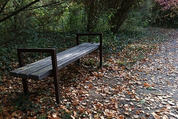 Bench next to park passage covered with yellow autumn leaves.