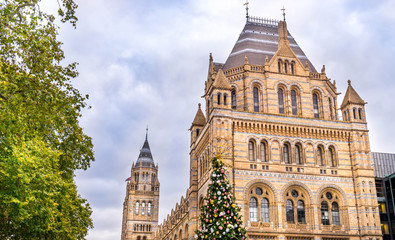 Fototapeta na wymiar Natural History museum in winter with Christmas decorations, London, England