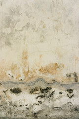 The background texture is a messy plastering wall. Decorative wall paint.