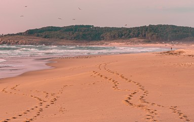 Playa solitaria y salvaje con huellas sobre la arena