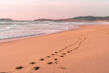 Fototapeta na wymiar Playa salvaje y solitaria con una línea de huellas sobre la arena 