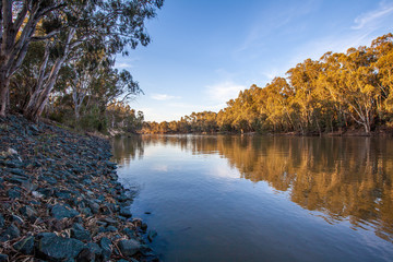 Murray river flowing among natvie Australian bush at sunset - 298760686