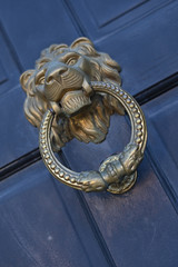 lion head knocker on the door