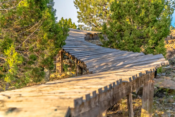 Winding boardwalk for biking within the trees of a trail
