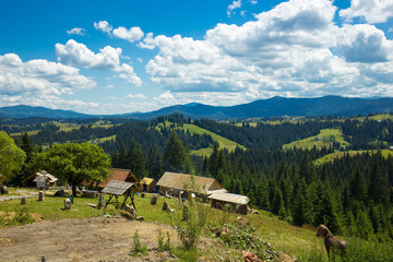 Fototapeta na wymiar Panoramic View of Carpathian Mountains in Summer Sunny Day. Bukovel, Ukraine