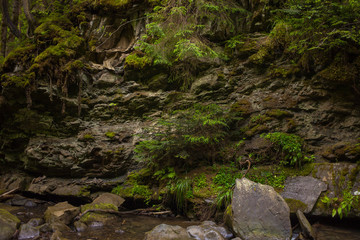 Beautiful Nature Background. Carpathian Mountains, Ukraine