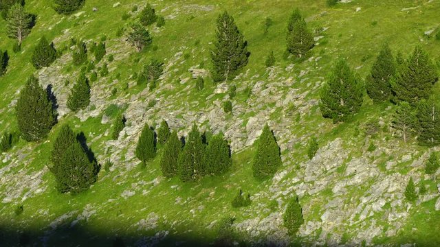 Ordesa y Monte Perdido National Park, Sobrarbe, Huesca Province, Aragon, Spain, Europe