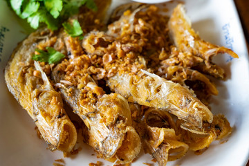 Closed up deep fried Thai style river fish (Sheatfish Fried) “Par Nae Non”, Traditional Thai Food with fried chopped garlic. Serverd with source. Delicious and yummy.