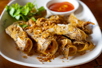Closed up deep fried Thai style river fish (Sheatfish Fried) “Par Nae Non”, Traditional Thai Food with fried chopped garlic. Serverd with source. Delicious and yummy.