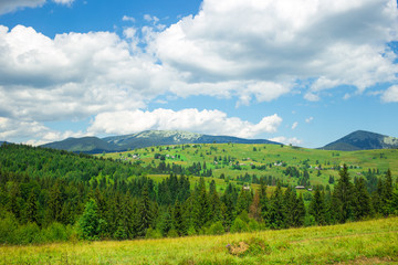 Fototapeta na wymiar Summer Carpathian Moountains. Beautiful Landscape